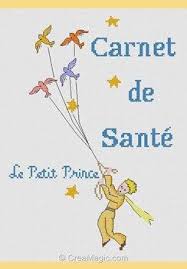 Le Petit Prince à Broder Au Point De Croix Petit Prince Achat Le Petit Prince Carnet De Sante Bebe Broderie De Bebe