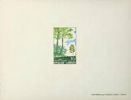 Image result for Pycnanthus angolensis