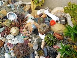 We did not find results for: My Succulent Rock Garden Had A Gift For Me Today Succulents