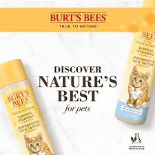 Large selection of tools and accessories and friendly/knowledgeable staff. Burt S Bees For Pets For Kittens Natural Tearless Shampoo With Buttermilk Kitten Cat Shampoo 10 Ounces 2 Pack Ff5769amz2 Buy Online At Best Price In Uae Amazon Ae