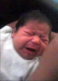 Francisco Jesus Olvera Obituary