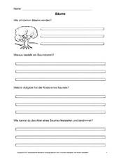 Learn vocabulary, terms and more with flashcards, games and other study tools. Arbeitsblatt In Der Grundschule Baume Themen Und Projekte Hus Klasse 3 Grundschulmaterial De
