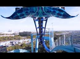 Manta At Sea World Front Row Hd Pov Orlando Florida Youtube
