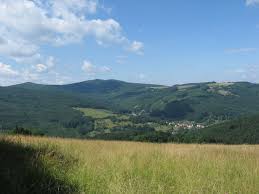 Aber auch selten gewordene vertreter der tierwelt wie braunbär, wolf, luchs und flussotter haben hier ihre heimat. Region Zlin Tschechien The Srcplus Project Supports The Development Of Short Rotation Crops Src In Seven European Regions