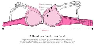 What Do I Need To Know About Band And Cup Sizing