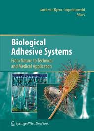 Swift, lynd ward 9780881922813 0881922811 ethics in forestry, lloyd c. Biological Adhesive Systems From Nature To Technical And Medical