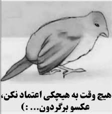 خوشبختانه کارنامه قوه قضاییه در رسیدگی به پرونده‌های معوقات بانکی و بدهکاران عمده بانکی همانند بسیاری از. Don T Trust Nobody Ø·Ø±ÙØ¯Ø§Ø±ÛŒ