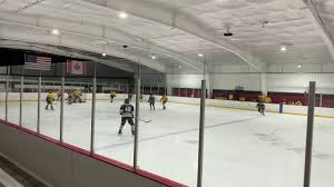 Connor bedard might be just 13, but his goal scoring skill has already earned him mainstream attention. 8545upqqvuvh3m