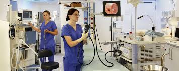 Ab wann sie auf kosten der gesetzlichen krankenkassen eine darmspiegelung vornehmen lassen können. Darmspiegelung Ooeg At