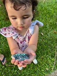 Someone found this at Rockhampton Girls Grammar School Bulls 'n' Barrels  event held in Gracemere last night… she will rehide…