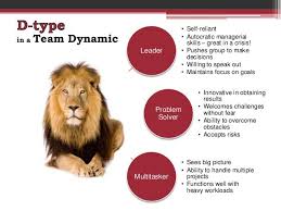 Disc Personality Profiles