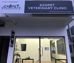 Bandar baru teluk intan, 36000 teluk intan, negeri perak, malaizija adrese. Exopet Veterinary Clinic Home Facebook
