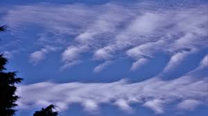 Lenticular clouds, morning glory clouds, mammatus clouds, and asperatus clouds . The Rarest Types Of Weather On Earth 24 7 Wall St