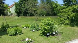 Botanischer garten der universität rostock, rostock, germany. Die 10 Besten Hotels Nahe Botanischer Garten Rostock Tripadvisor