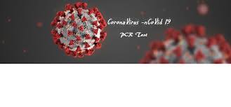 Beauty points sammeln & mit der douglas beauty card von exklusiven vorteilen profitieren. What Is Pcr Test Where To Take Pcr Test List Of The Pcr Test Center By Country Airlines Airports