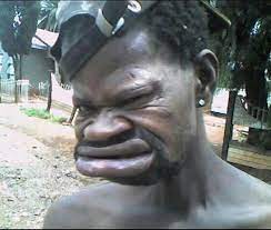 Check spelling or type a new query. Pin On Funny Finds