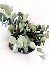 I Pinimg Com Originals 0d 6a Df 0d6adf2bc402a9b