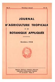 Image result for Heteranthoecia  guineensis