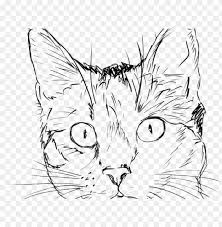 Series of black and white design elements. Drawn Black Cat Outline Sketch Realistic Cat Face Drawi Png Image With Transparent Background Toppng