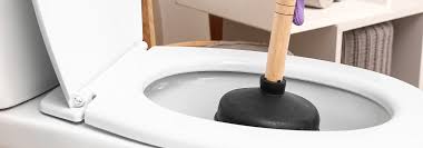 Check spelling or type a new query. Comment Deboucher Les Toilettes Cdiscount