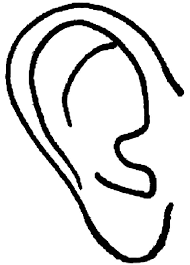 Then check out our selection of coloring pages. Right Ear Coloring Pages Kids Play Color Ear Picture Bear Coloring Pages Animal Ears