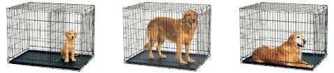 What Size Dog Crate Do You Need The Ultimate Guide Animalso