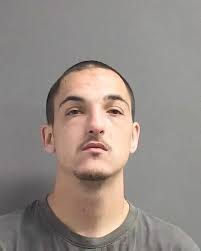 19-year-old ARIEL ESTEPA from ORANGE CITY was booked