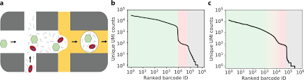 Cellbender Remove Background A Deep Generative Model For Unsupervised Removal Of Background Noise From Scrna Seq Datasets Biorxiv