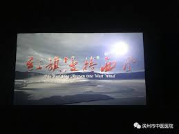 红色扬帆信仰护航------市中医医院全体党员集中观看《红旗漫卷西风》 - 滨州市中医医院