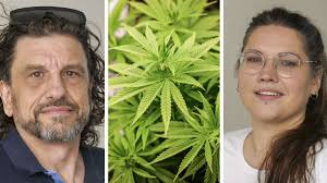 Legale Cannabis Vereine in Ludwigsburg: Cannabis Clubs hadern mit  „Papierschlacht“