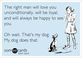 So True Ecards Funny Funny Quotes Make Me Laugh