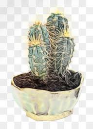 This book is a good quick source to id cacti and succulents that are readily available in most plant departments. Flower Love