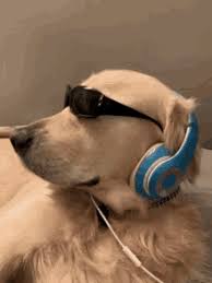 Golden Retriever Gifs Tenor