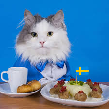 Eat at a huuuuge breakfast buffet to find out. Can Cats Eat Potatoes How About Sweet Potatoes Catster