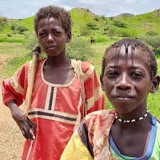 News From the Department Chair