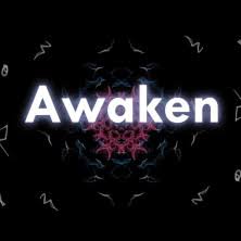 Professional warzone player l f/a l 3.3 k/d l top.5% l powered by: Awaken Film Indiegogo