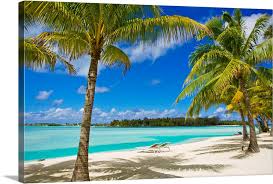 Check spelling or type a new query. Palm Trees Lounge Chairs And White Sand On A Tropical Beach Wall Art Canvas Prints Framed Prints Wall Peels Great Big Canvas