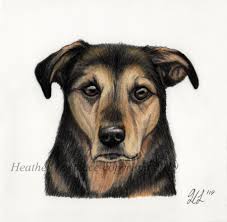 Just wanted to share! This is a portrait drawing I did in colored pencil. :)