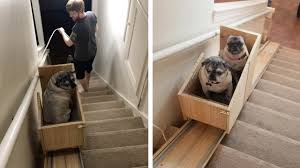 These lifts are especially helpful for handicapped and elderly people. Woman Builds Stairlift For Her Elderly Dogs Youtube