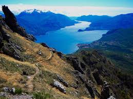 Image result for Grona