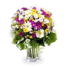 We are committed to offering only the finest floral arrangements and gifts. Germini And Chrysanthemum Bouquet Mixed Daisies Floraqueen