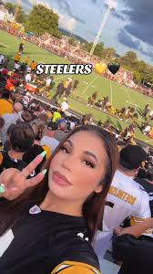 Govee Lights Pittsburgh Steelers