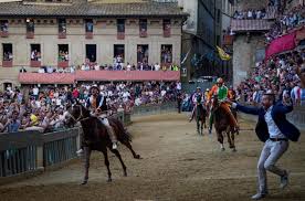 Trend Google: palio di siena 2026