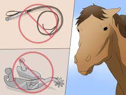 The top speed at which the world's fastest equine sprinter, the quarter horse, has been clocked is 55 mph. How To Make A Horse Run Faster 13 Steps With Pictures Wikihow