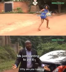 Try Out Our Best Mobile Social Game Link In Bio Icebreaker Memes Funnymemes Wholesomemes Dank Really Funny Memes Funny Relatable Memes Bad Memes