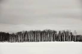 Living room minimalist stock photos and images. 31 Minimal Black And White Photography Ideas Black And White Photography Black And White White Photography