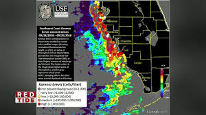 High Concentrations Of Red Tide Remain Off Coast Of Pinellas