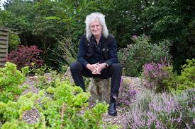Queen guitarist Brian May barred from planting daffodils in his village on safety grounds