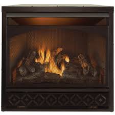 Our gas fireplaces are designed to be installed in new construction projects or when renovating your home. Pin On Dr S Fireplace Insert Project