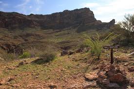 This is bulldozer at border of organ pipe cactus national monument by npca on vimeo, the home for high quality videos and the people who love them. Bull Pasture National Border National Park A History Of Organ Pipe Cactus National Monument